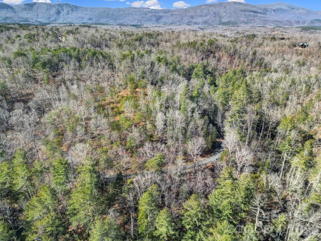 Lot 19 Ostin Creek Trail 19, Mill Spring, NC 28756