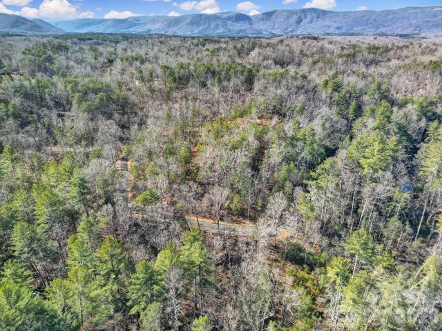 Lot 19 Ostin Creek Trail 19, Mill Spring, NC 28756