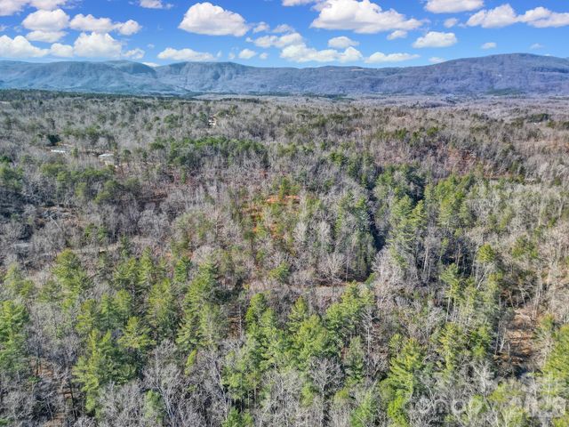 Lot 19 Ostin Creek Trail 19, Mill Spring, NC 28756