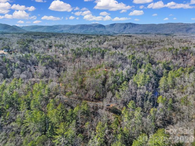 Lot 19 Ostin Creek Trail 19, Mill Spring, NC 28756