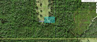COMMONWEALTH AVE N, Polk City, FL 33868