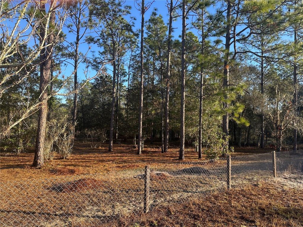 Image 3 of property listing at 22851 SW NEPTUNE BOULEVARD, Dunnellon, FL 34431