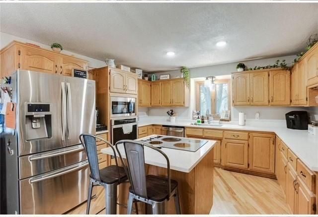 17295 Ward Lake Drive NW, Andover, MN 55304