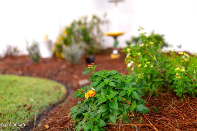 6812 Vintage Lane, Port Orange, FL 32128