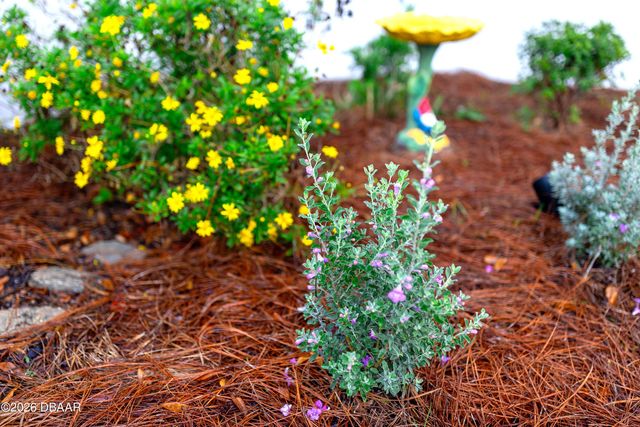 6812 Vintage Lane, Port Orange, FL 32128