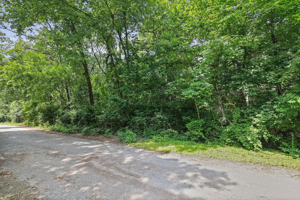Image 9 of property listing at Lot 12 Brookhaven Drive, Mt Vernon, IL 62864
