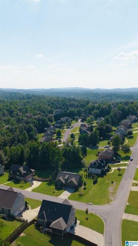 3428 CHATHAM CIRCLE, Trussville, AL 35173