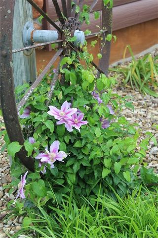 36404 E County Line Road, Lone Jack, MO 64070