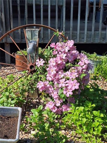 36404 E County Line Road, Lone Jack, MO 64070