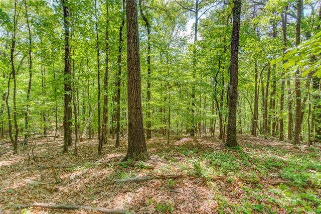 1051 Riverside Road, Sugar Hill, GA 30518