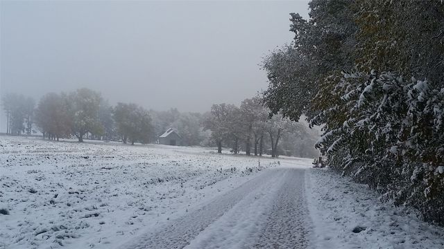 Hokes Way, Mt Vernon, IA 52314