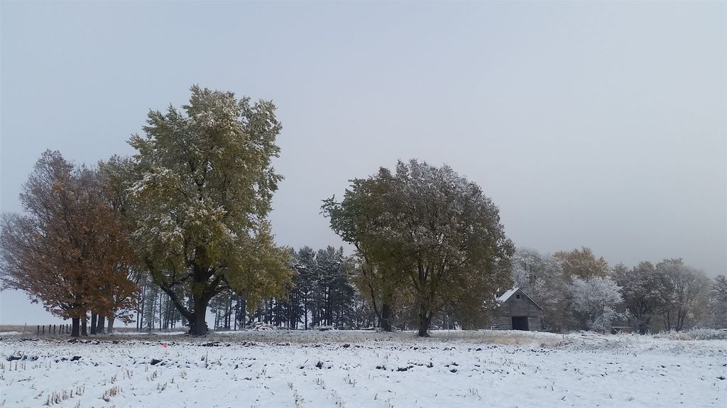 Hokes Way, Mt Vernon, IA 52314