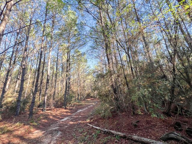 1 Bishop Road, Huntsville, TX 77320