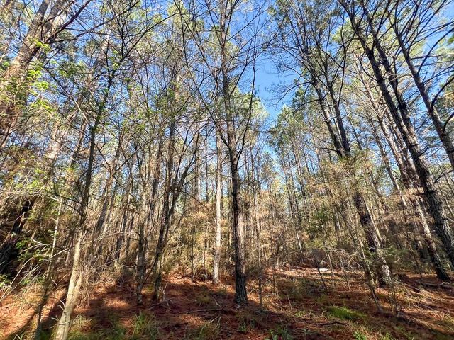 1 Bishop Road, Huntsville, TX 77320