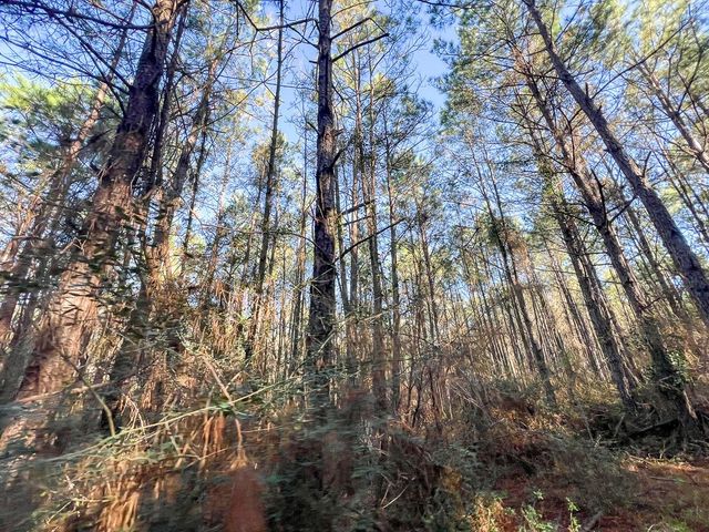 1 Bishop Road, Huntsville, TX 77320