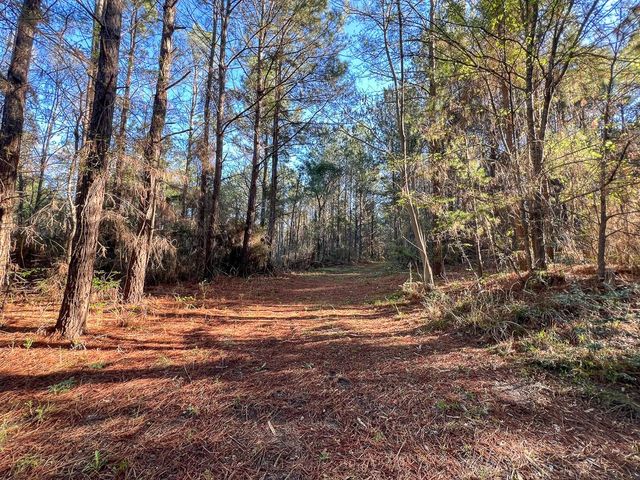1 Bishop Road, Huntsville, TX 77320