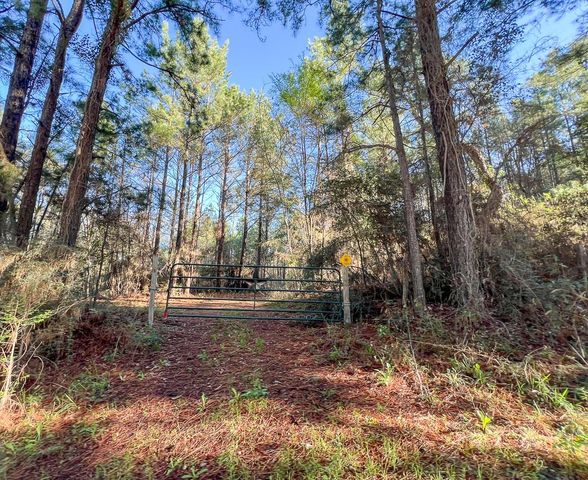 1 Bishop Road, Huntsville, TX 77320