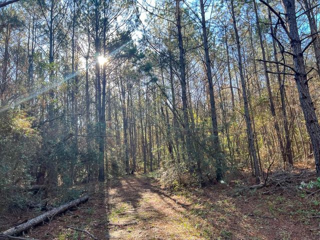 1 Bishop Road, Huntsville, TX 77320