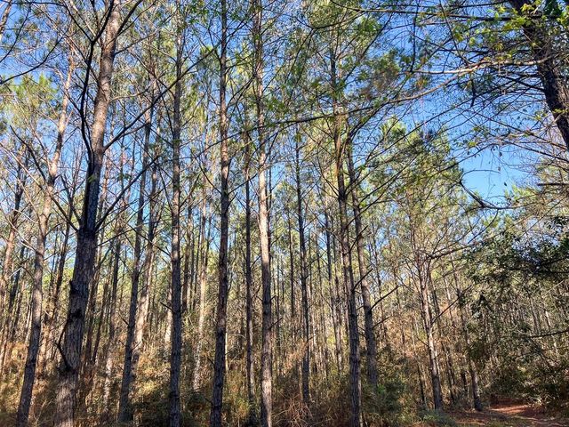 1 Bishop Road, Huntsville, TX 77320