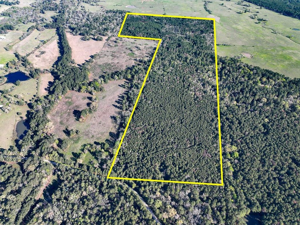 1 Bishop Road, Huntsville, TX 77320