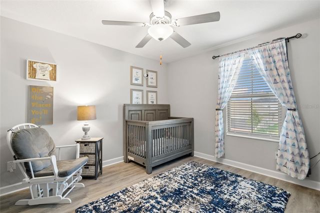 24941 LAMBRUSCO LOOP, Lutz, FL 33559