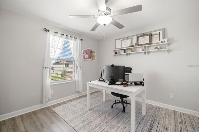 24941 LAMBRUSCO LOOP, Lutz, FL 33559