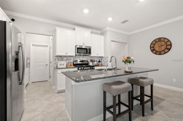 24941 LAMBRUSCO LOOP, Lutz, FL 33559