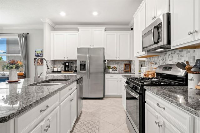 24941 LAMBRUSCO LOOP, Lutz, FL 33559