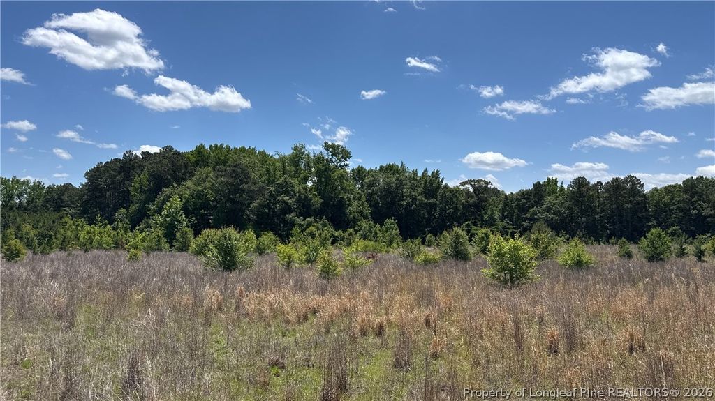 Snipes Road, Red Springs, NC 20747 — exterior