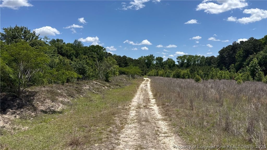 Snipes Road, Red Springs, NC 20747 — photo 2