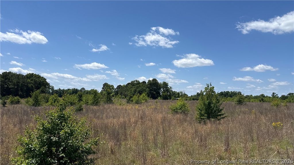 Snipes Road, Red Springs, NC 20747 — photo 3