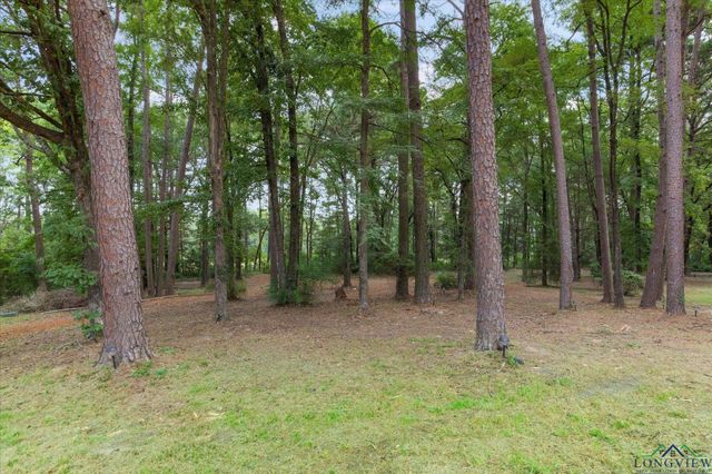 286 Hall Dr, Longview, TX 75605