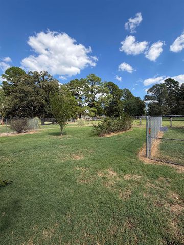 11985 County Road 1168, Tyler, TX 75703