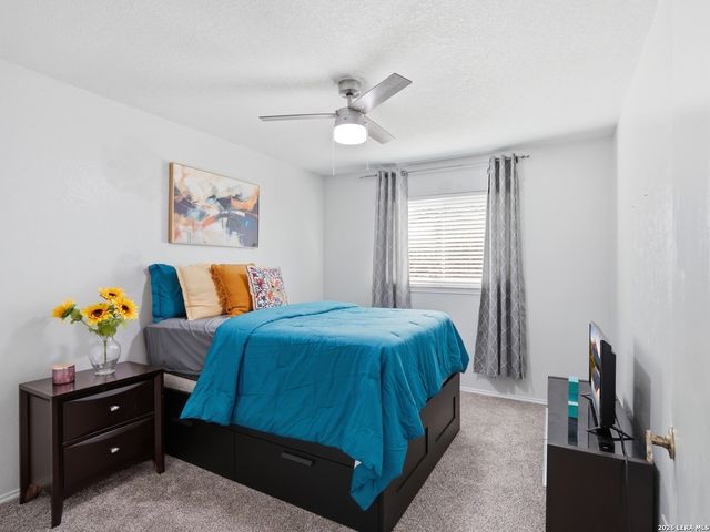 8110 Timber Grove, San Antonio, TX 78250