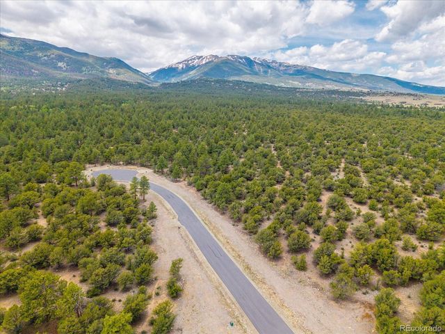 29269 Timber Ridge, Buena Vista, CO 81211