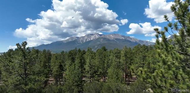 29269 Timber Ridge, Buena Vista, CO 81211