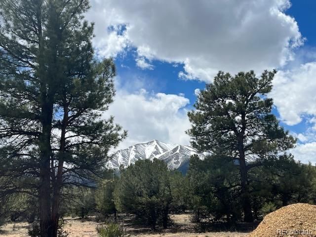 29269 Timber Ridge, Buena Vista, CO 81211