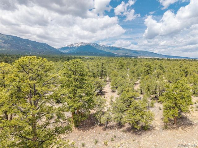 29269 Timber Ridge, Buena Vista, CO 81211