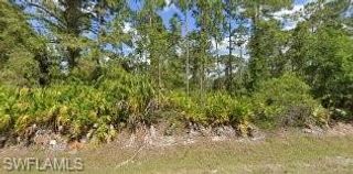420 Maple AVE N, Lehigh Acres, FL 33972