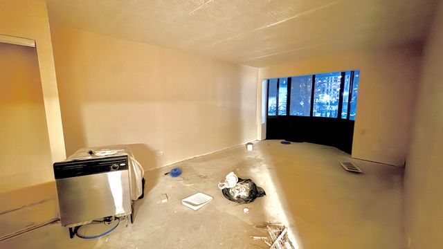 606 E Woodland Park Avenue 306, Chicago, IL 60616