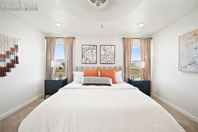 9130 Lanceleaf Drive, Colorado Springs, CO 80925