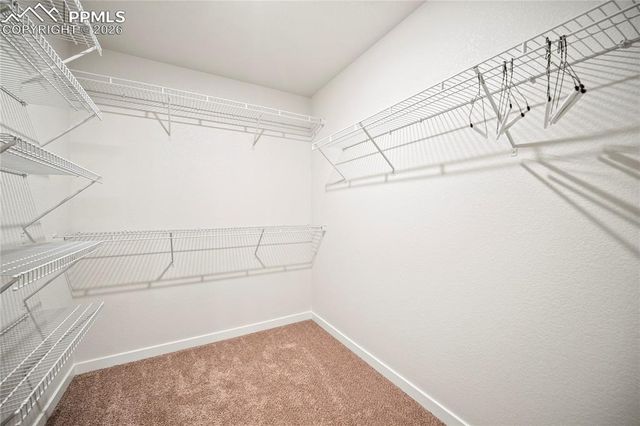 9130 Lanceleaf Drive, Colorado Springs, CO 80925