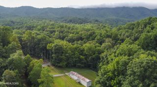 2920 Grapevine Hollow Road, Dandridge, TN 37725
