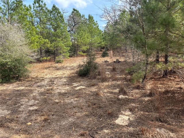 187 K C DR, Bastrop, TX 78602