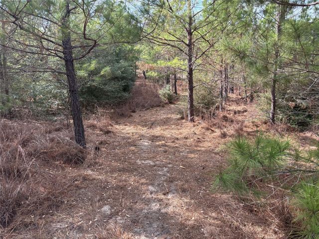 187 K C DR, Bastrop, TX 78602