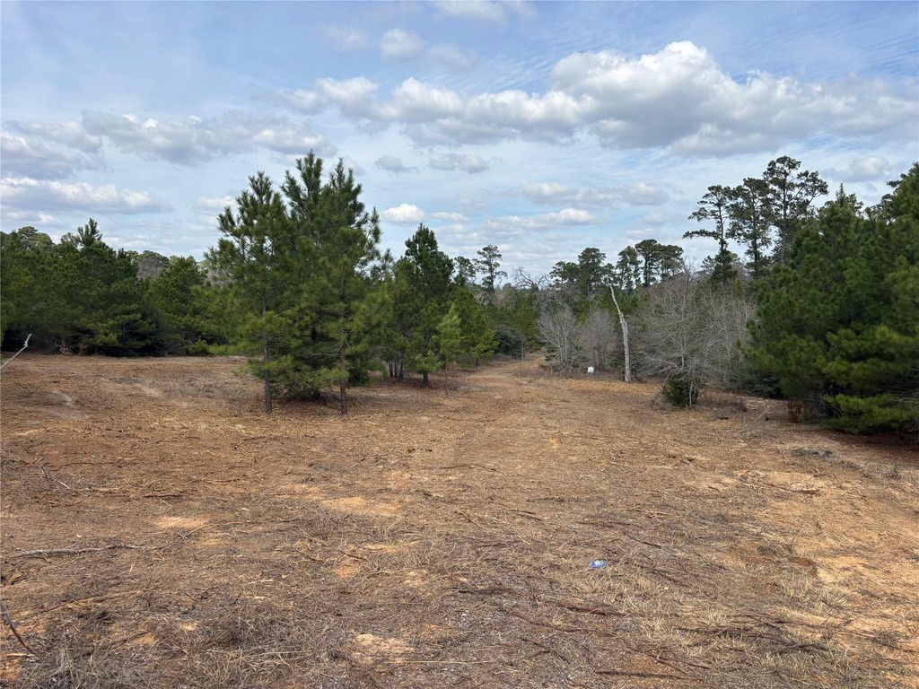 187 K C DR, Bastrop, TX 78602