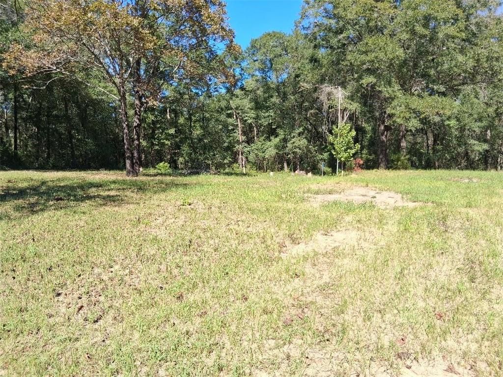 11730 Moffett Road, Wilmer, AL 36587 — photo 5