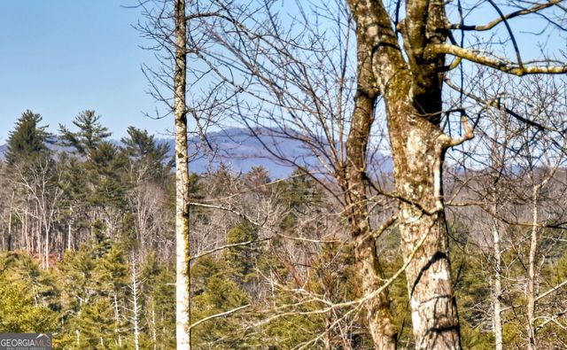 1312 Hicks Ford Road, Ellijay, GA 30540