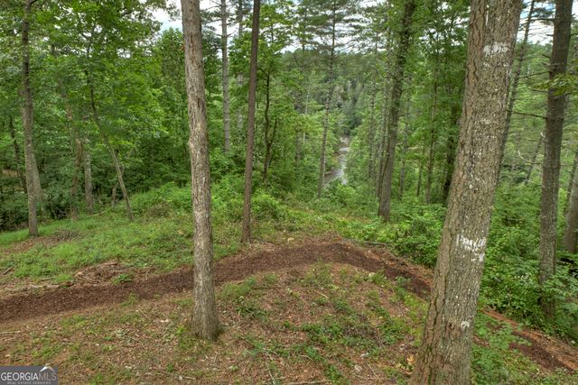 1312 Hicks Ford Road, Ellijay, GA 30540