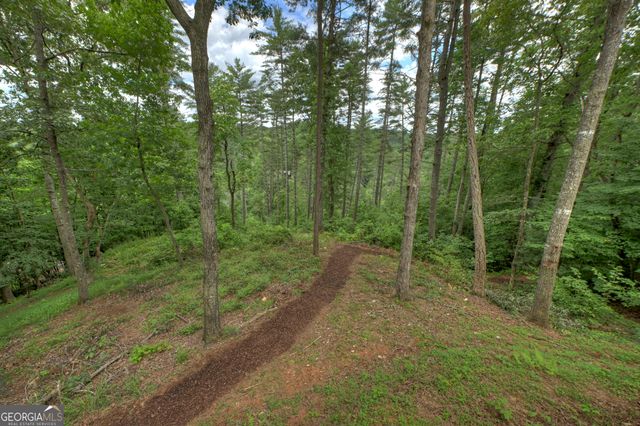 1312 Hicks Ford Road, Ellijay, GA 30540